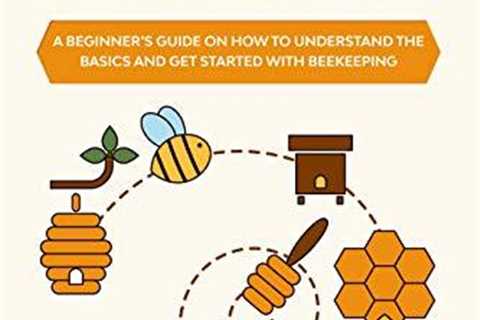 Beekeeping Basics: Your Beginner's Guide to Success