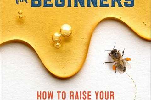 Beekeeping Basics: Start Your First Bee Colony