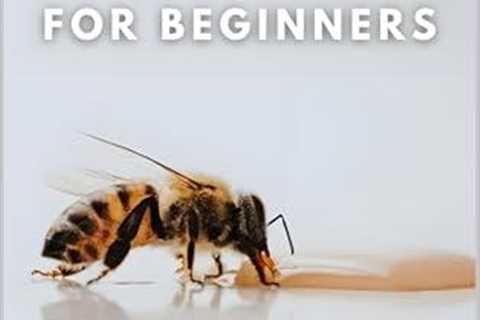 Beekeeping Made Easy: A Beginner’s Guide