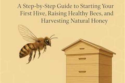 Beginner’s Guide to Starting Your First Beehive