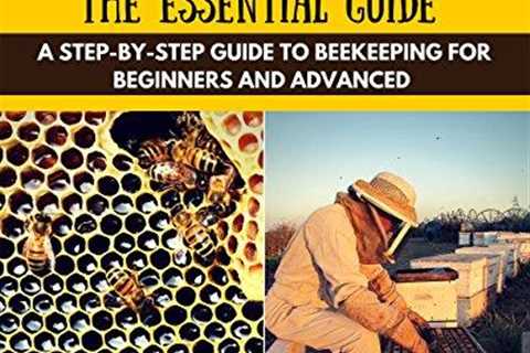 Beekeeping Essentials: Your Ultimate Step-by-Step Guide