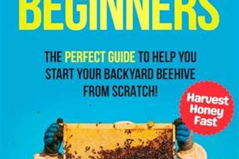 Beginner's Guide to Successful Beekeeping and Honey Harvesting