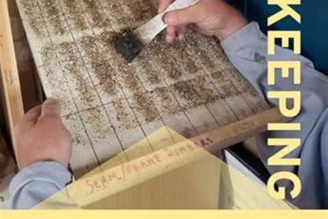 Bottom-Up Beekeeping: Insights from Hive Debris