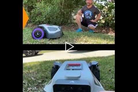 The Ultimate Hands-Free Yard: An In-Depth Look at the ANTHBOT M9 Series